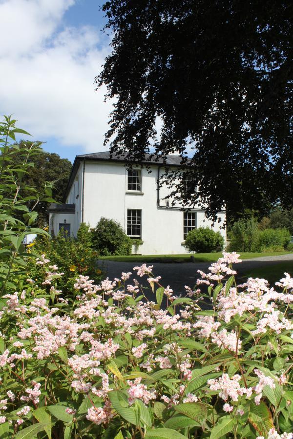 Lough Bawn House Bed and Breakfast Collinstown  Eksteriør billede